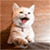 http://upforme.ru/uploads/001b/1e/21/4/429464.gif