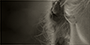 http://upforme.ru/uploads/001b/1e/21/4/941548.png