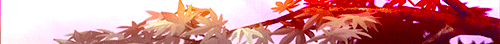 http://upforme.ru/uploads/001b/26/df/9/431502.gif