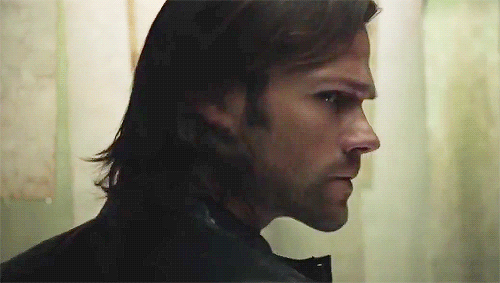 http://upforme.ru/uploads/001b/2a/da/1291/236431.gif
