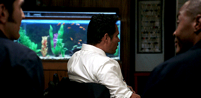 http://upforme.ru/uploads/001b/2a/dc/5/388247.gif
