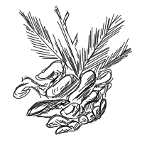 http://upforme.ru/uploads/001b/2b/6a/2/332669.png