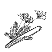 http://upforme.ru/uploads/001b/2b/6a/2/892787.png