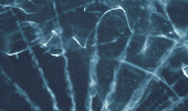 http://upforme.ru/uploads/001b/2c/35/5/523566.gif