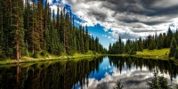 http://upforme.ru/uploads/001b/2d/b9/29/972122.jpg