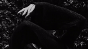 http://upforme.ru/uploads/001b/30/71/100/688841.gif
