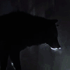 http://upforme.ru/uploads/001b/30/71/100/942542.gif