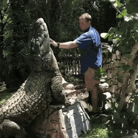 http://upforme.ru/uploads/001b/30/c3/2/t488440.gif