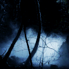 http://upforme.ru/uploads/001b/32/79/70/779680.gif