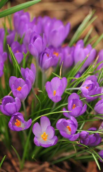 http://upforme.ru/uploads/001b/32/a3/21/t764486.jpg