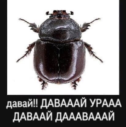 http://upforme.ru/uploads/001b/33/da/23/823806.jpg