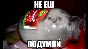 http://upforme.ru/uploads/001b/33/da/26/t433020.jpg