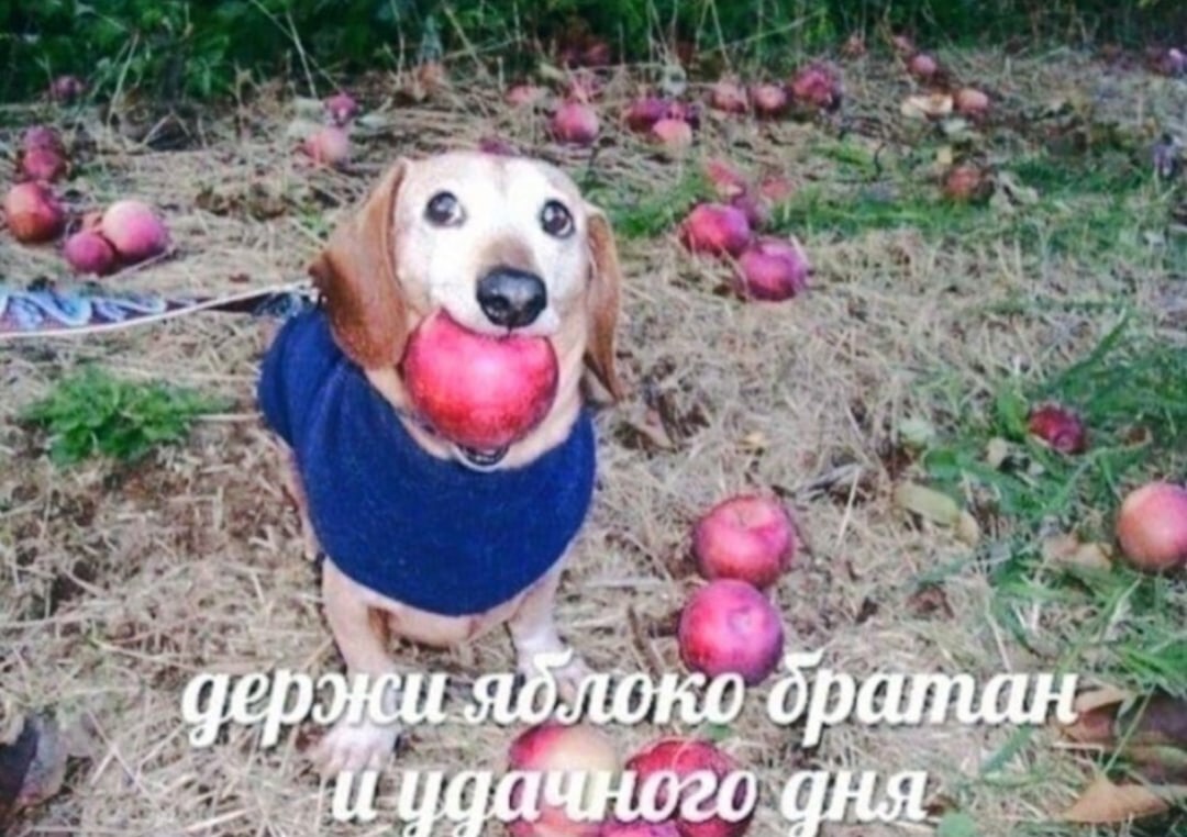 http://upforme.ru/uploads/001b/33/da/6/138669.jpg