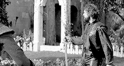 http://upforme.ru/uploads/001b/36/79/7/t640943.gif