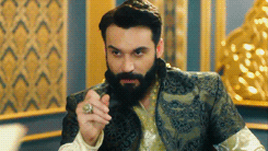 http://upforme.ru/uploads/001b/36/79/98/t776092.gif