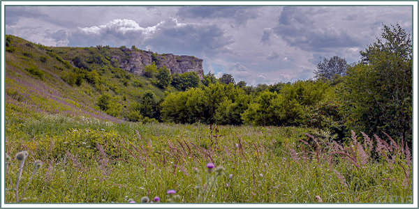http://upforme.ru/uploads/001b/45/b2/17/158033.png