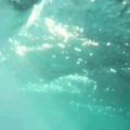http://upforme.ru/uploads/001b/47/67/2/711968.gif