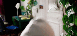 http://upforme.ru/uploads/001b/47/67/2/847665.gif