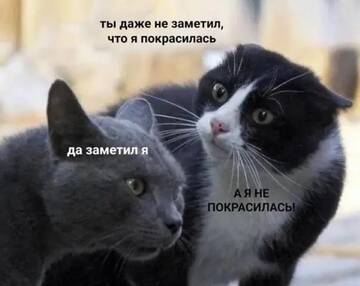 http://upforme.ru/uploads/001b/4f/36/25/t537384.jpg