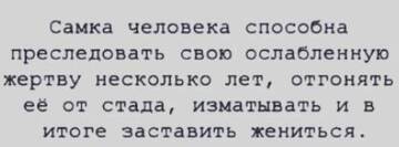 http://upforme.ru/uploads/001b/4f/36/27/t535805.jpg