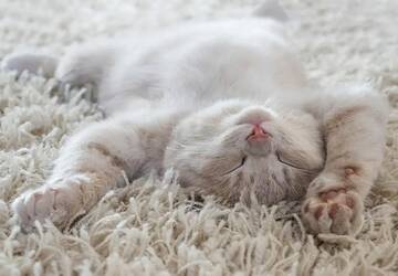 http://upforme.ru/uploads/001b/4f/36/46/t401730.jpg