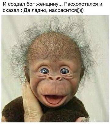 http://upforme.ru/uploads/001b/4f/36/8/t304519.jpg