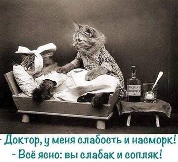 http://upforme.ru/uploads/001b/4f/36/8/t572792.jpg