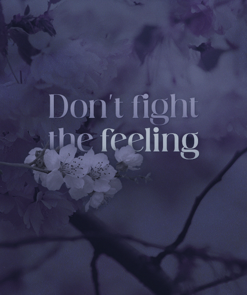 http://upforme.ru/uploads/001b/57/10/186/66060.png