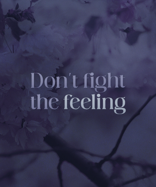 http://upforme.ru/uploads/001b/57/10/186/89918.png