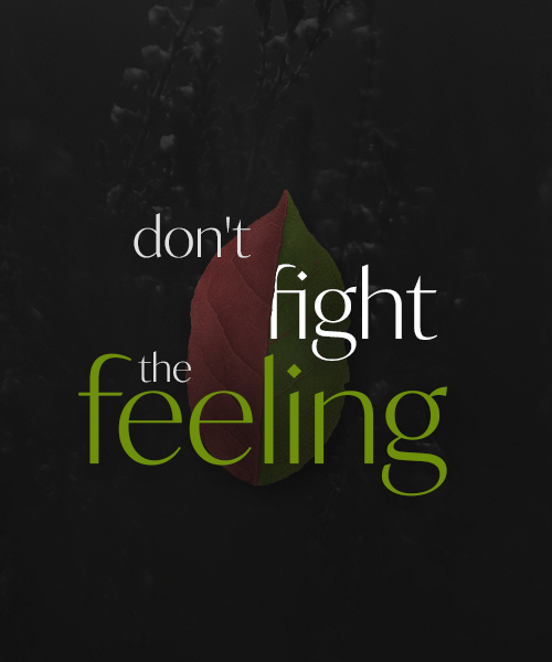 http://upforme.ru/uploads/001b/57/10/57/120173.png