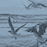 http://upforme.ru/uploads/001b/58/2a/2/979359.png