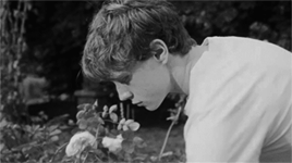 http://upforme.ru/uploads/001b/58/4b/5/140255.gif