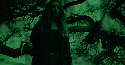 http://upforme.ru/uploads/001b/5a/8b/4/365608.gif