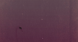 http://upforme.ru/uploads/001b/5a/8b/4/664409.gif