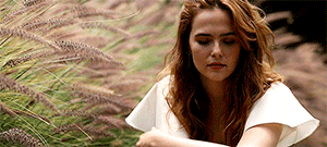 http://upforme.ru/uploads/001b/5c/82/104/251759.gif