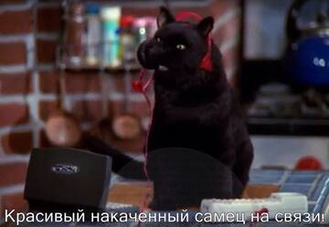 http://upforme.ru/uploads/001b/61/94/19/t148433.jpg
