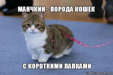 http://upforme.ru/uploads/001b/61/94/19/t865672.jpg