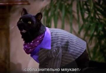 http://upforme.ru/uploads/001b/61/94/19/t929091.jpg