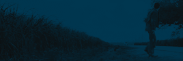 http://upforme.ru/uploads/001b/63/f0/2/474979.gif