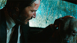 http://upforme.ru/uploads/001b/63/f3/25/273533.gif