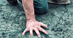 http://upforme.ru/uploads/001b/63/f3/25/692937.gif