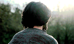 http://upforme.ru/uploads/001b/63/f3/51/696996.gif