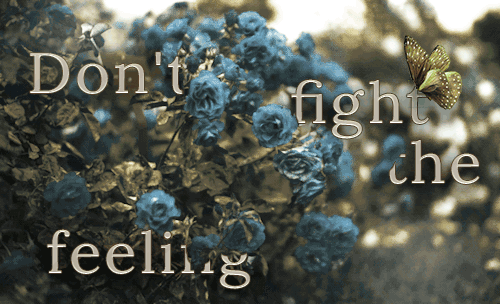 http://upforme.ru/uploads/001b/67/41/2/721494.gif