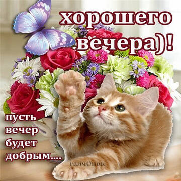 http://upforme.ru/uploads/001b/6d/20/15/t760680.jpg