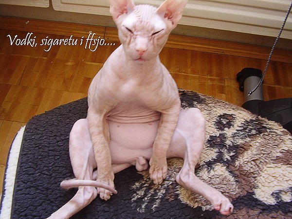 http://upforme.ru/uploads/001b/6d/74/10/101904.jpg