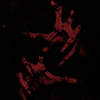 http://upforme.ru/uploads/001b/6e/f9/13/t391017.png
