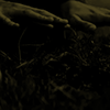 http://upforme.ru/uploads/001b/6f/c4/4/723850.gif