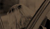 http://upforme.ru/uploads/001b/71/5b/249/335829.gif