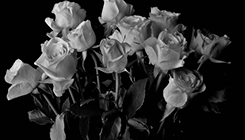 http://upforme.ru/uploads/001b/71/5b/31/411132.gif