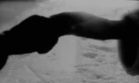 http://upforme.ru/uploads/001b/72/ec/51/407720.gif